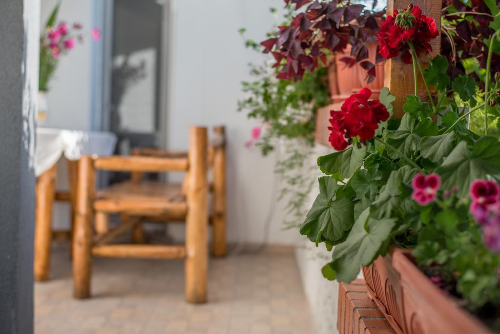 Guesthouse Juli Sapareva Banya Buitenkant foto