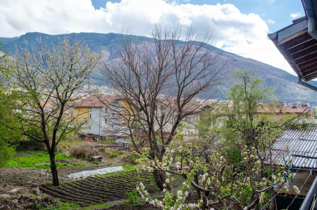 Guesthouse Juli Sapareva Banya Buitenkant foto